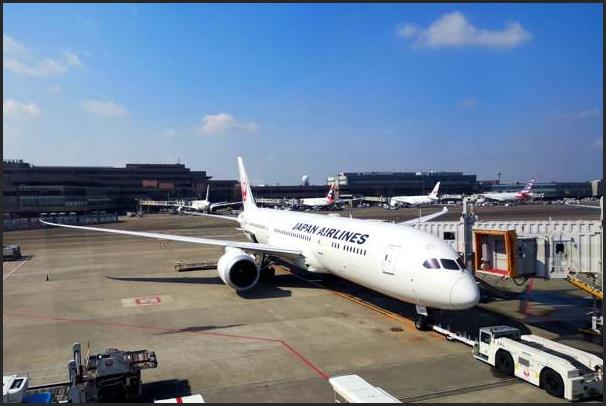 JALのB787